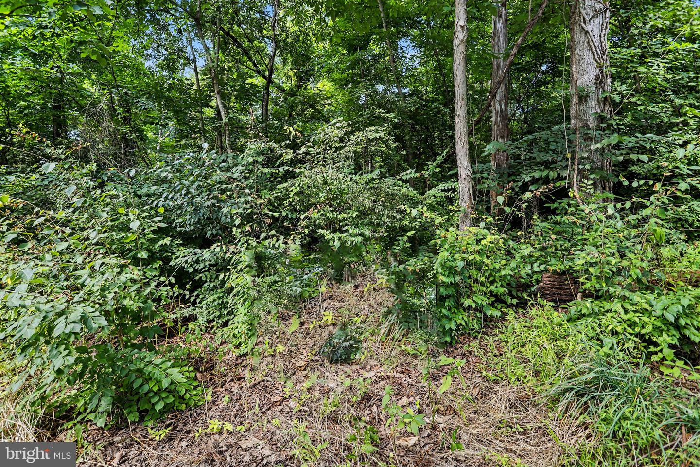 0 Latimore Valley Rd Property Photo 6