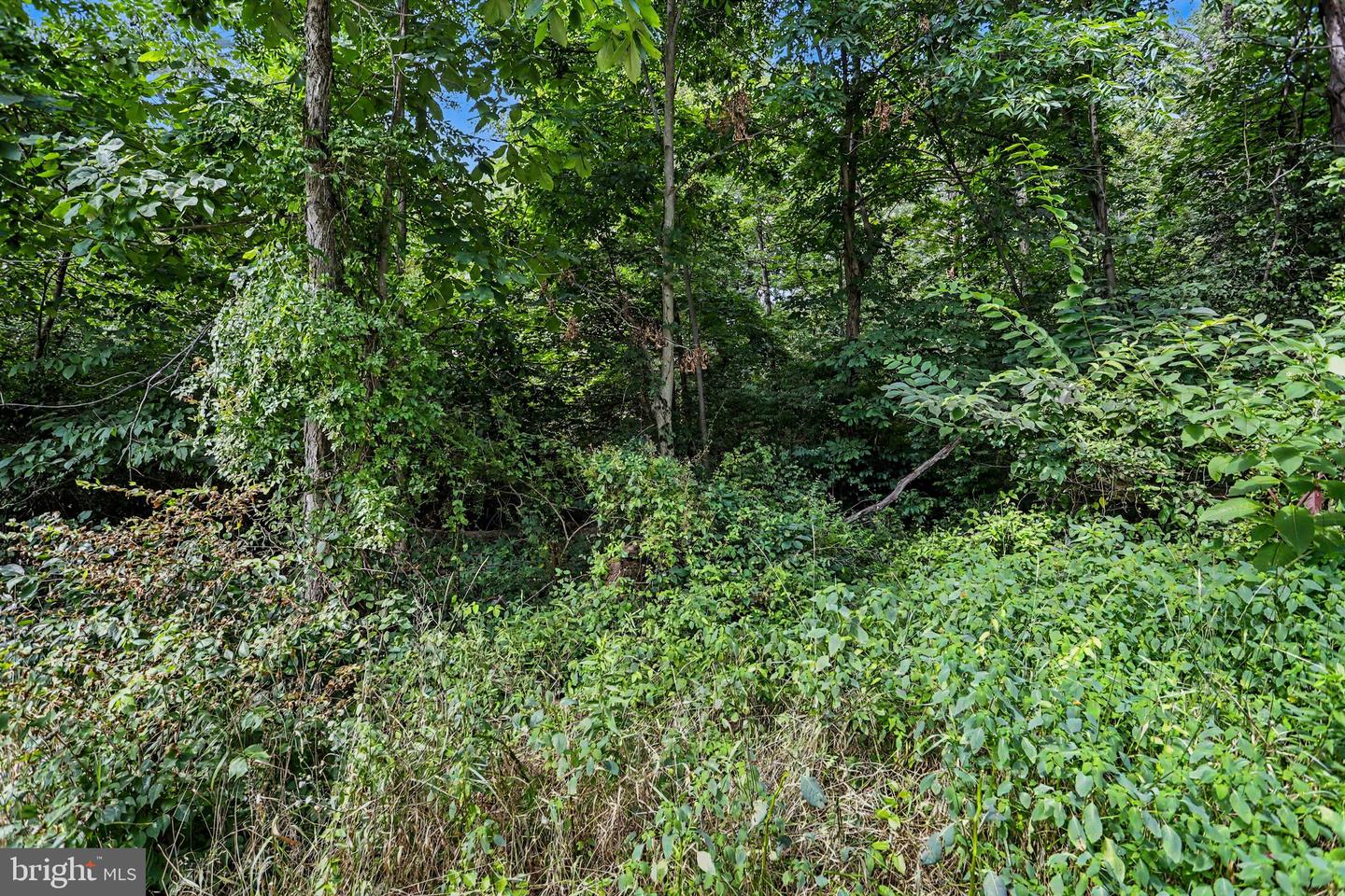 0 Latimore Valley Rd Property Photo 7