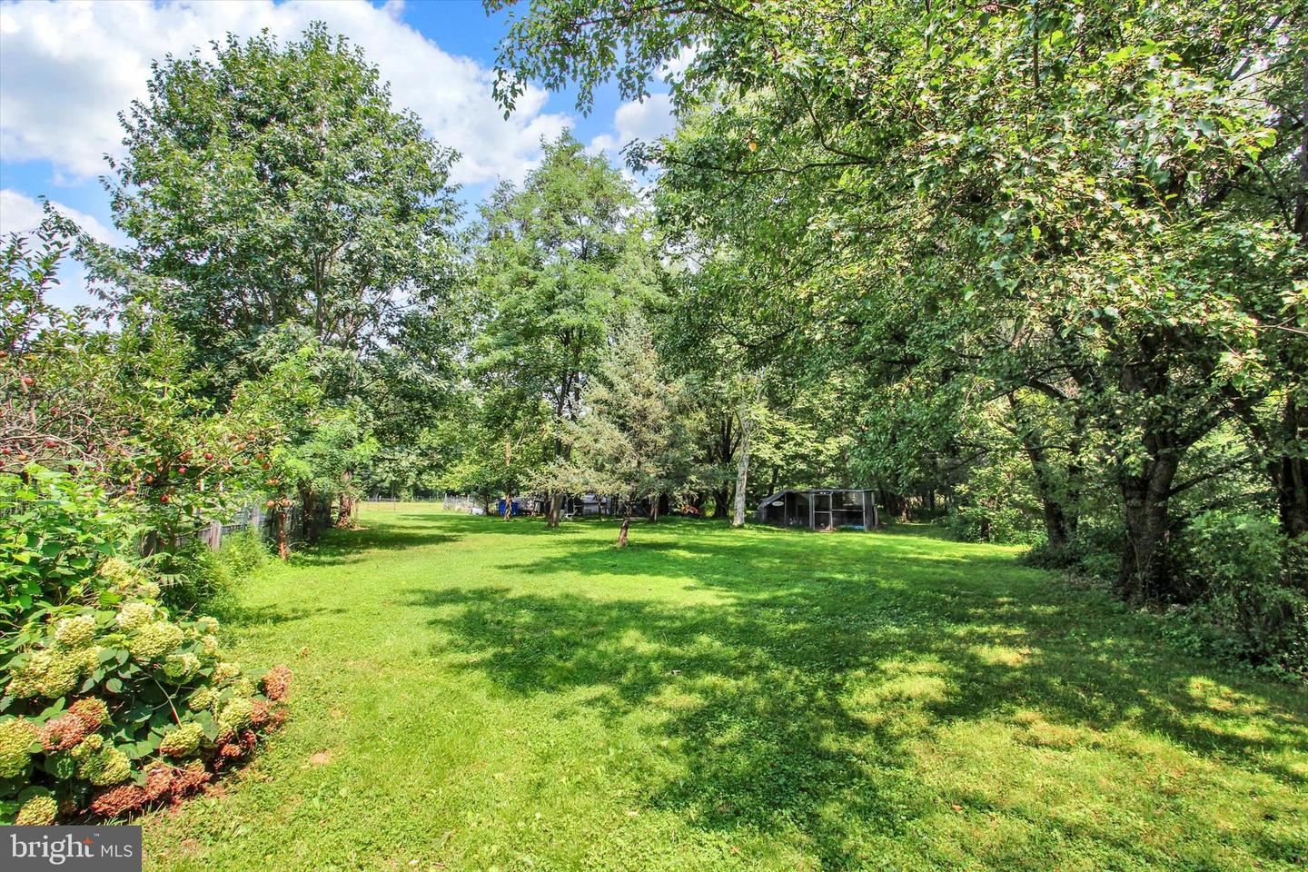 875 Mount Carmel Rd Property Photo 49
