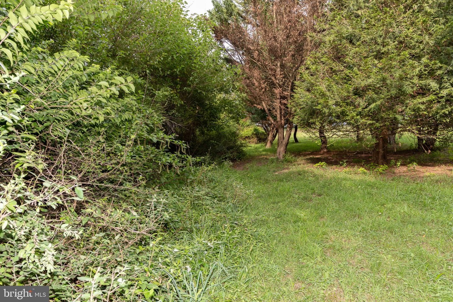 933 Boyle Rd Property Photo 70