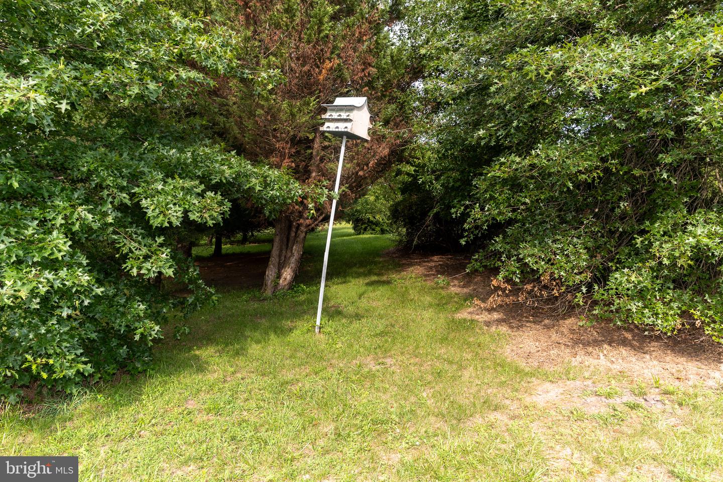 933 Boyle Rd Property Photo 74