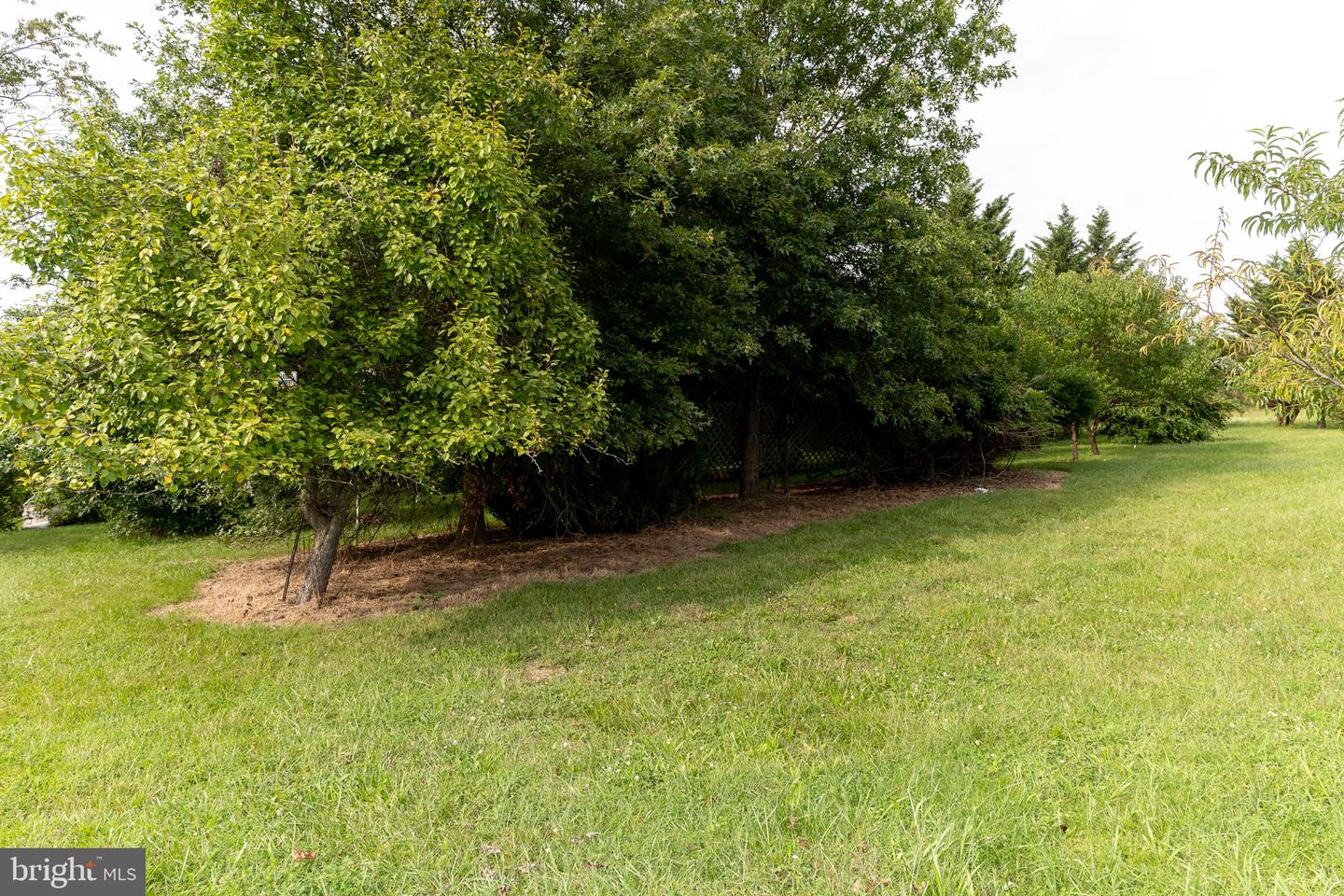 933 Boyle Rd Property Photo 77