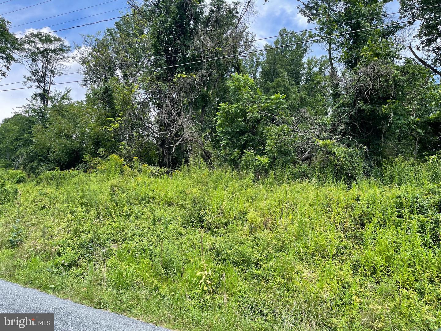 63 Old Waynesboro Rd Property Photo 1