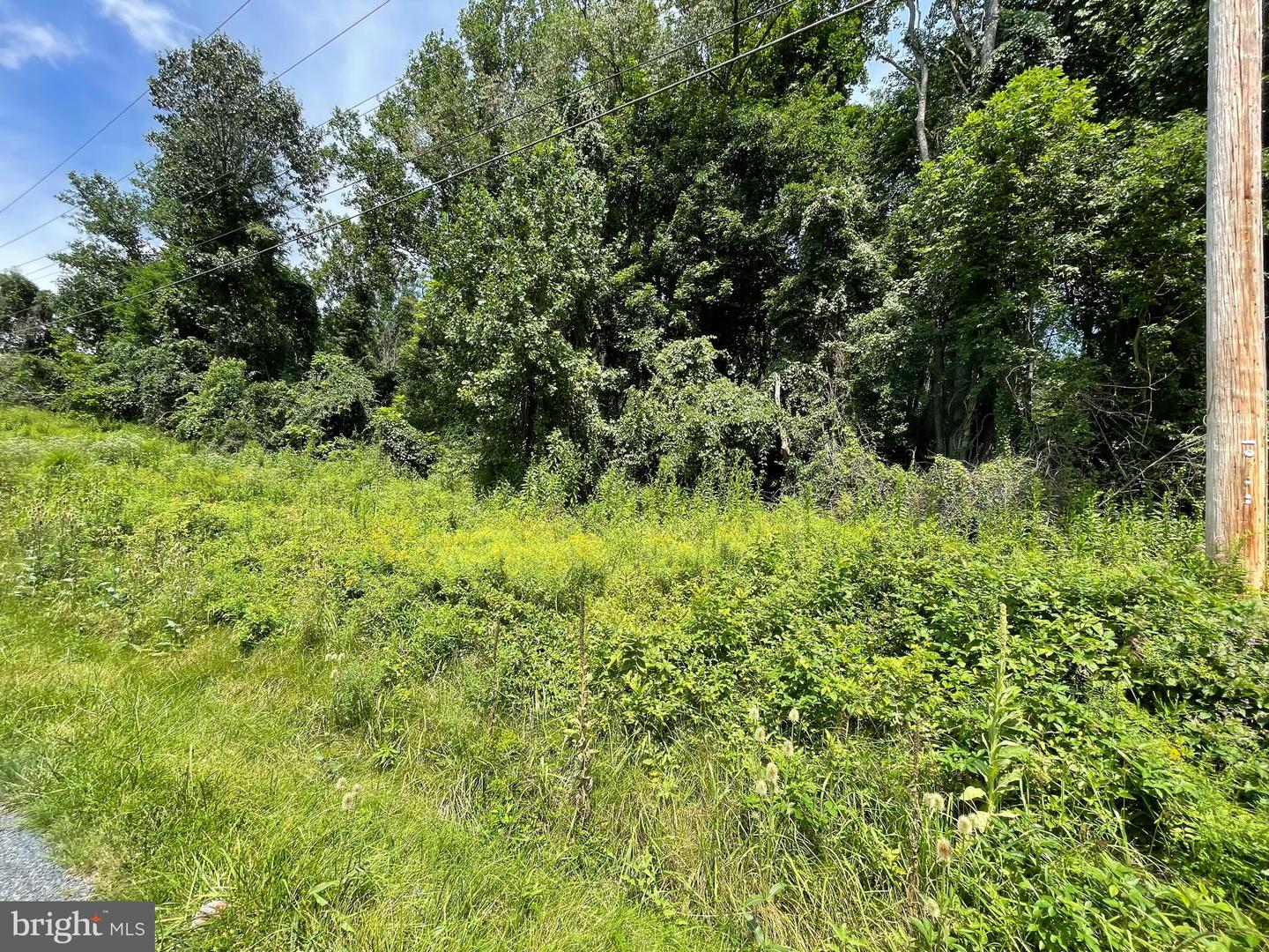 47 Old Waynesboro Rd Property Photo 1