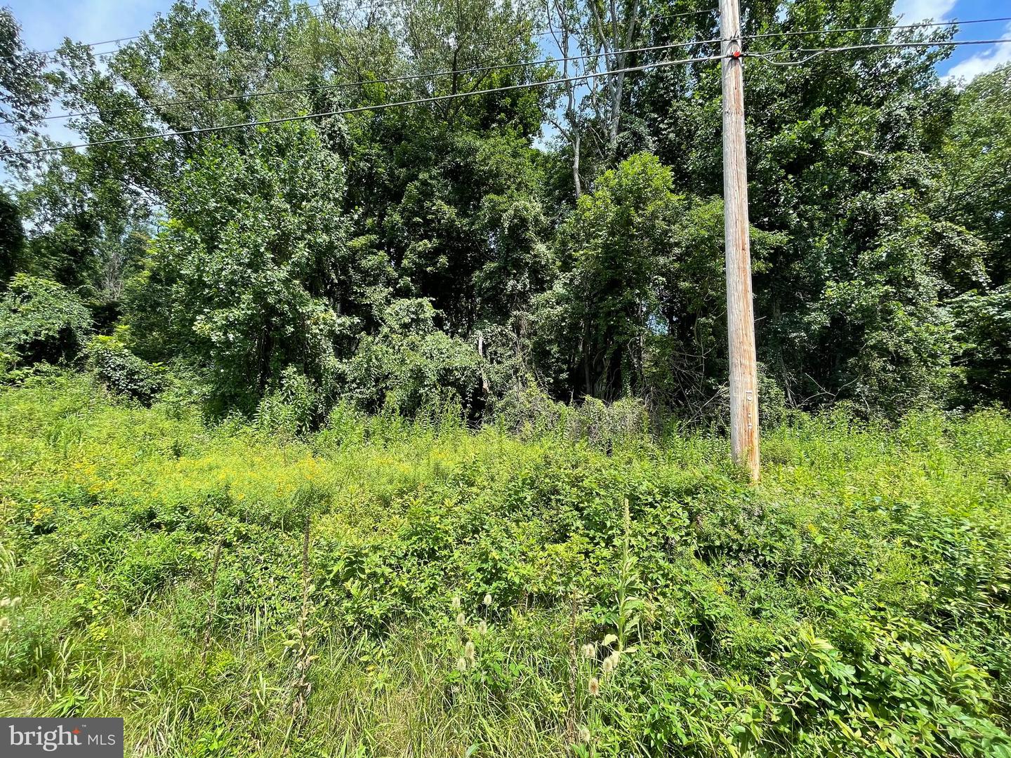 47 Old Waynesboro Rd Property Photo 3
