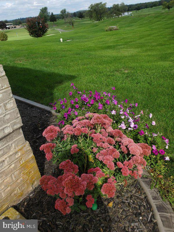 960 Teeter Rd Property Photo 49