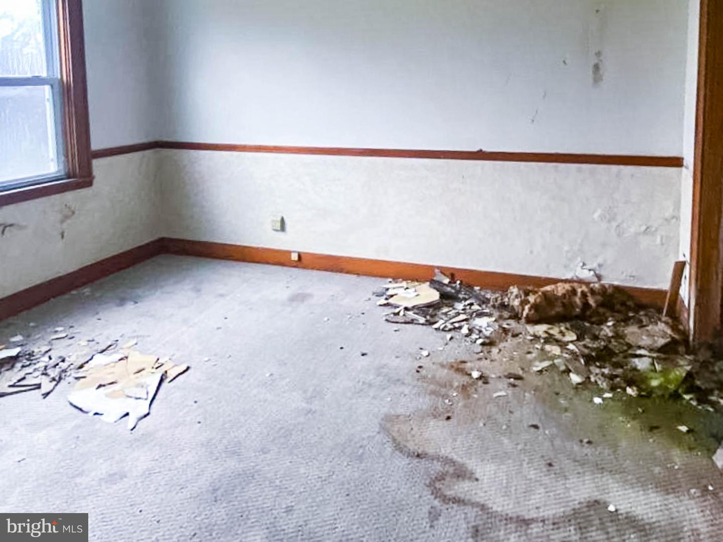 179 Magnolia St Property Photo 14