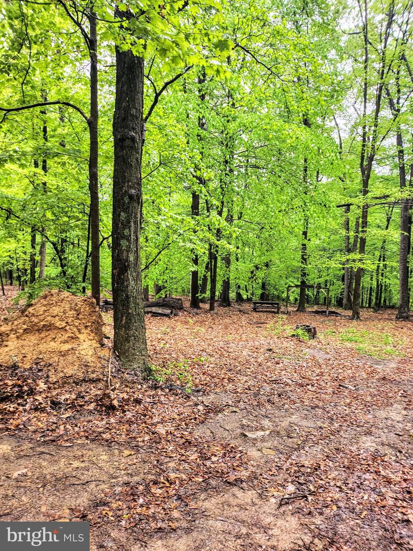 Mosquito Hollow Rd Property Photo 2