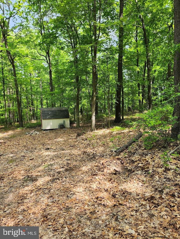 Mosquito Hollow Rd Property Photo 3