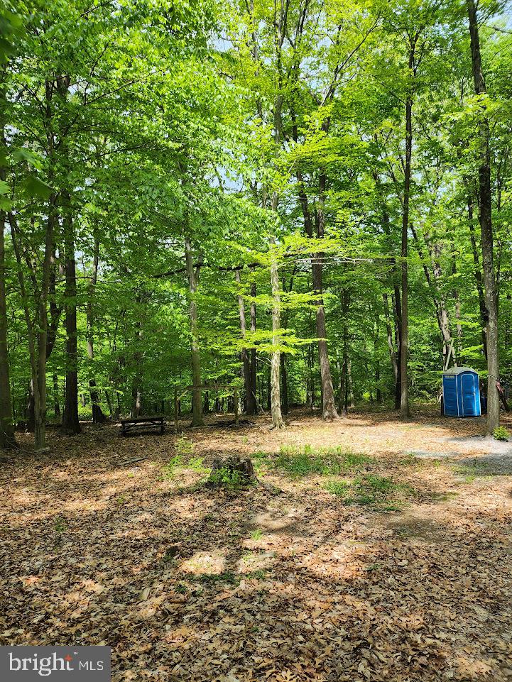 Mosquito Hollow Rd Property Photo 4