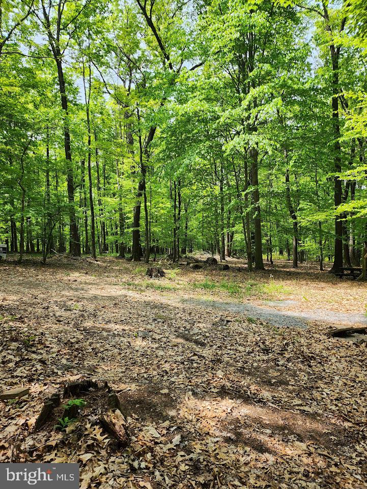 Mosquito Hollow Rd Property Photo 6