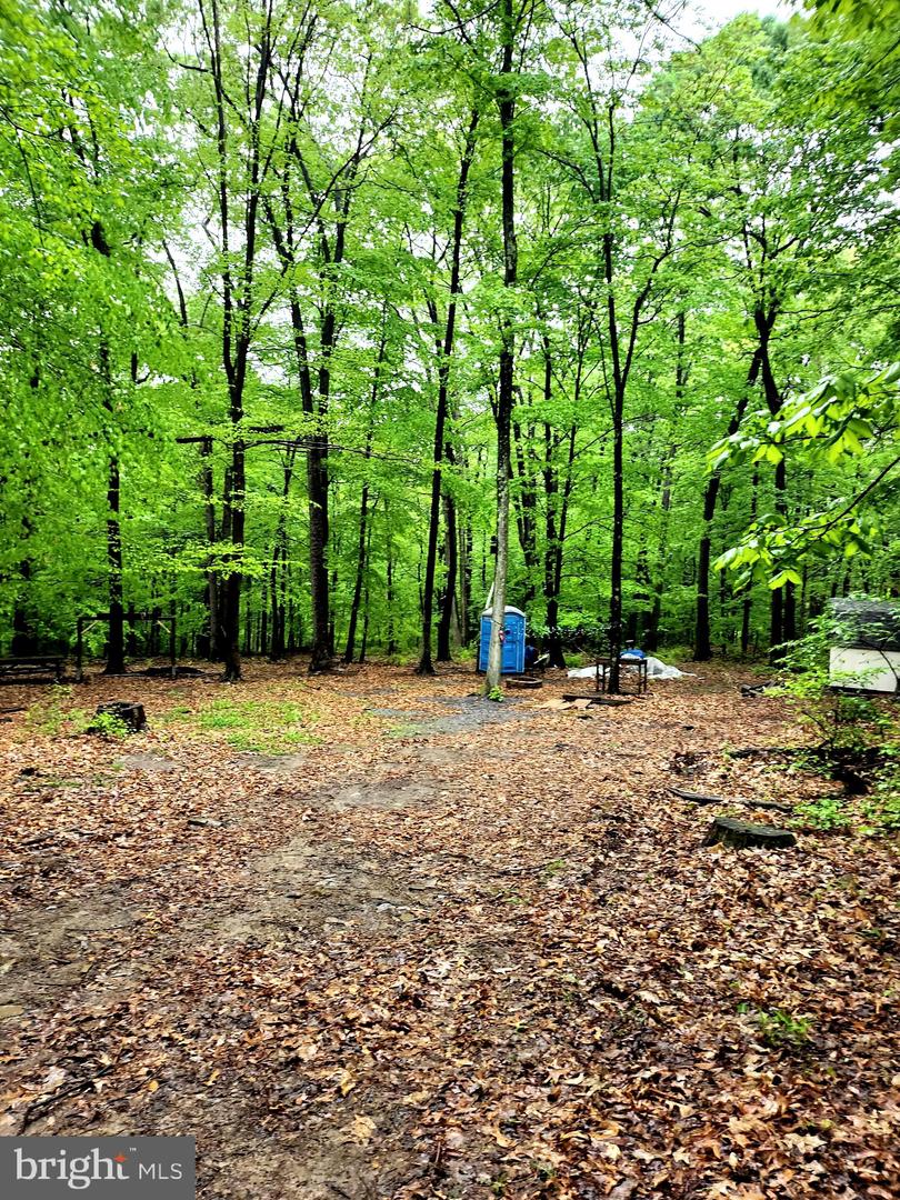 Mosquito Hollow Rd Property Photo 8