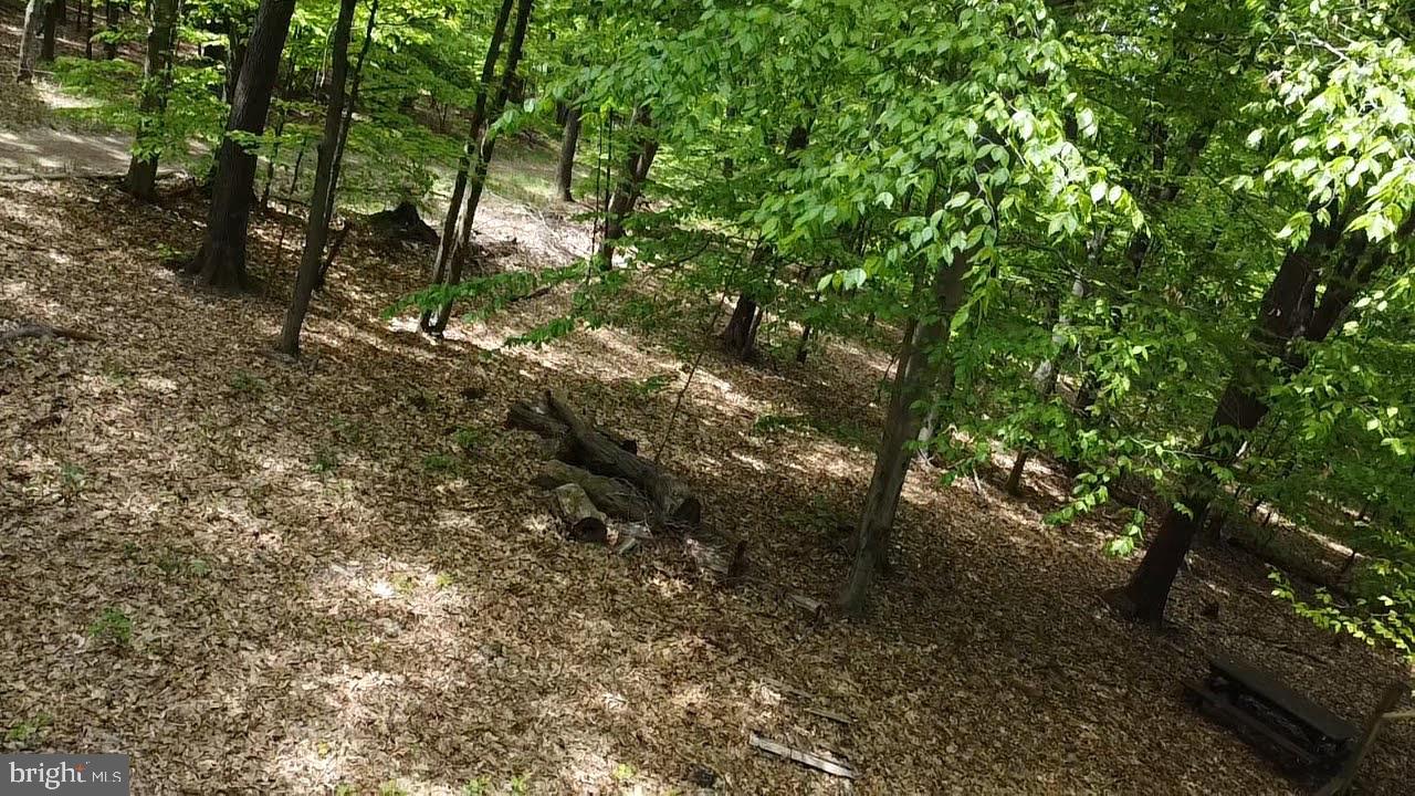 Mosquito Hollow Rd Property Photo 10