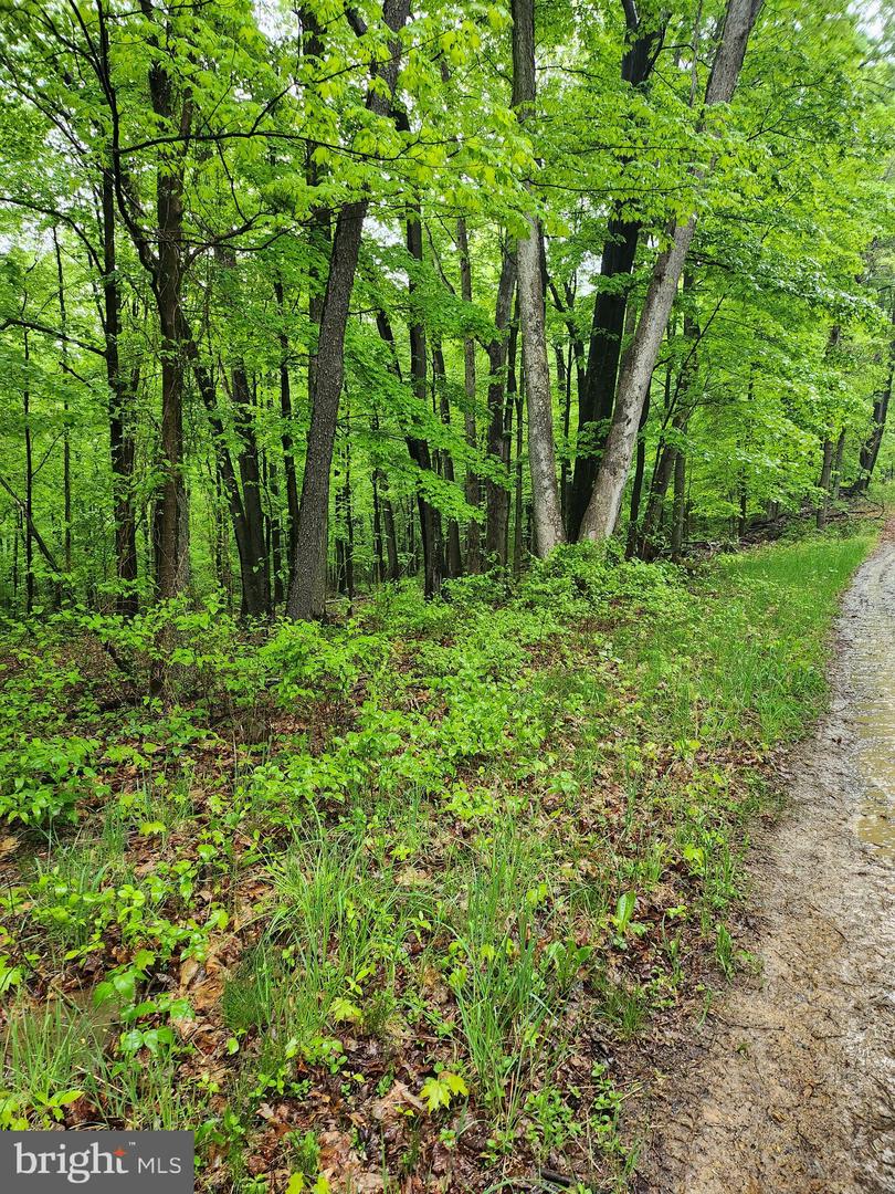 Mosquito Hollow Rd Property Photo 11