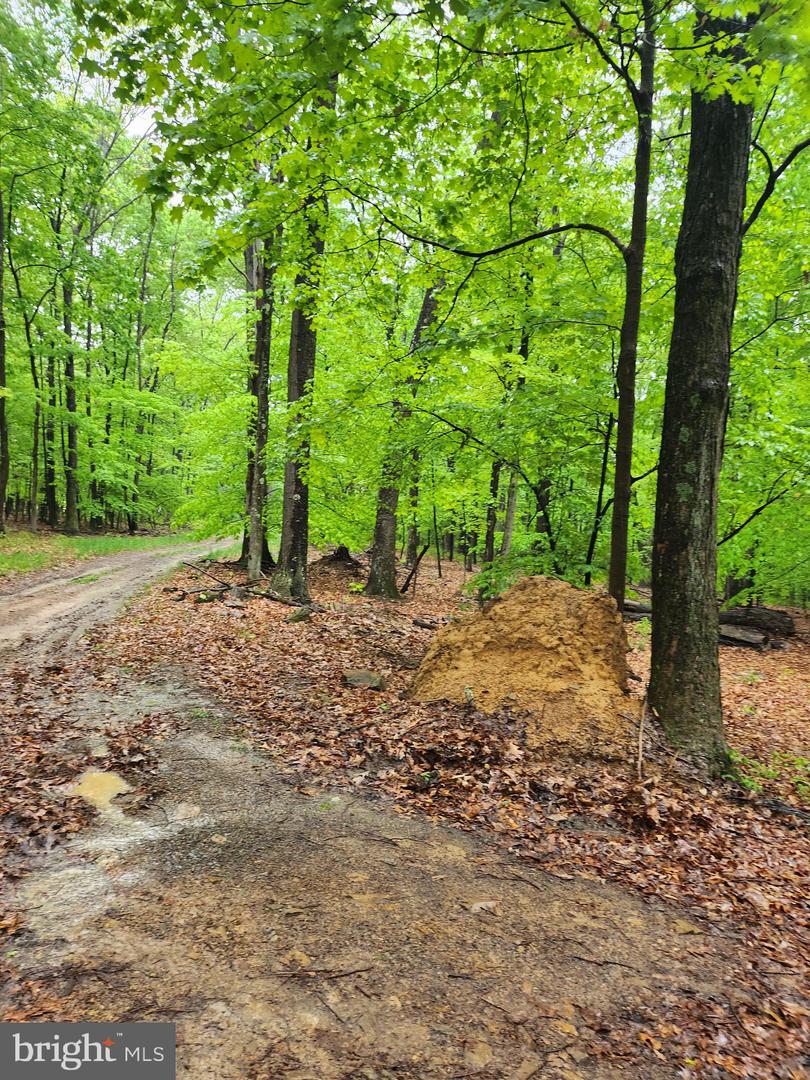 Mosquito Hollow Rd Property Photo 12