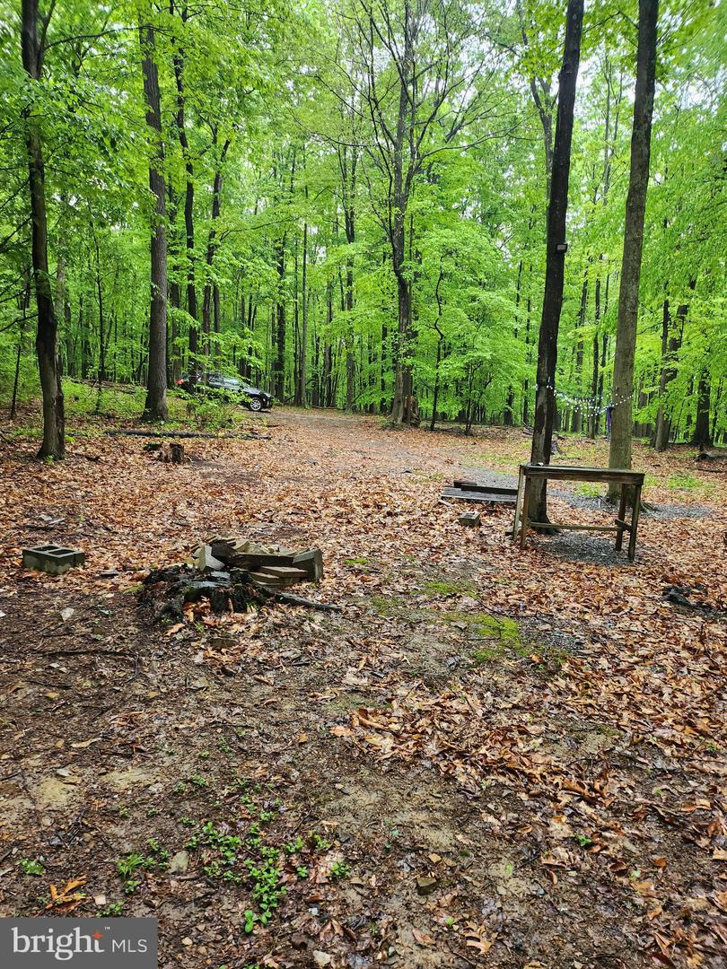 Mosquito Hollow Rd Property Photo 13