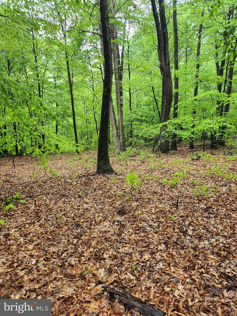 Mosquito Hollow Rd Property Photo 15