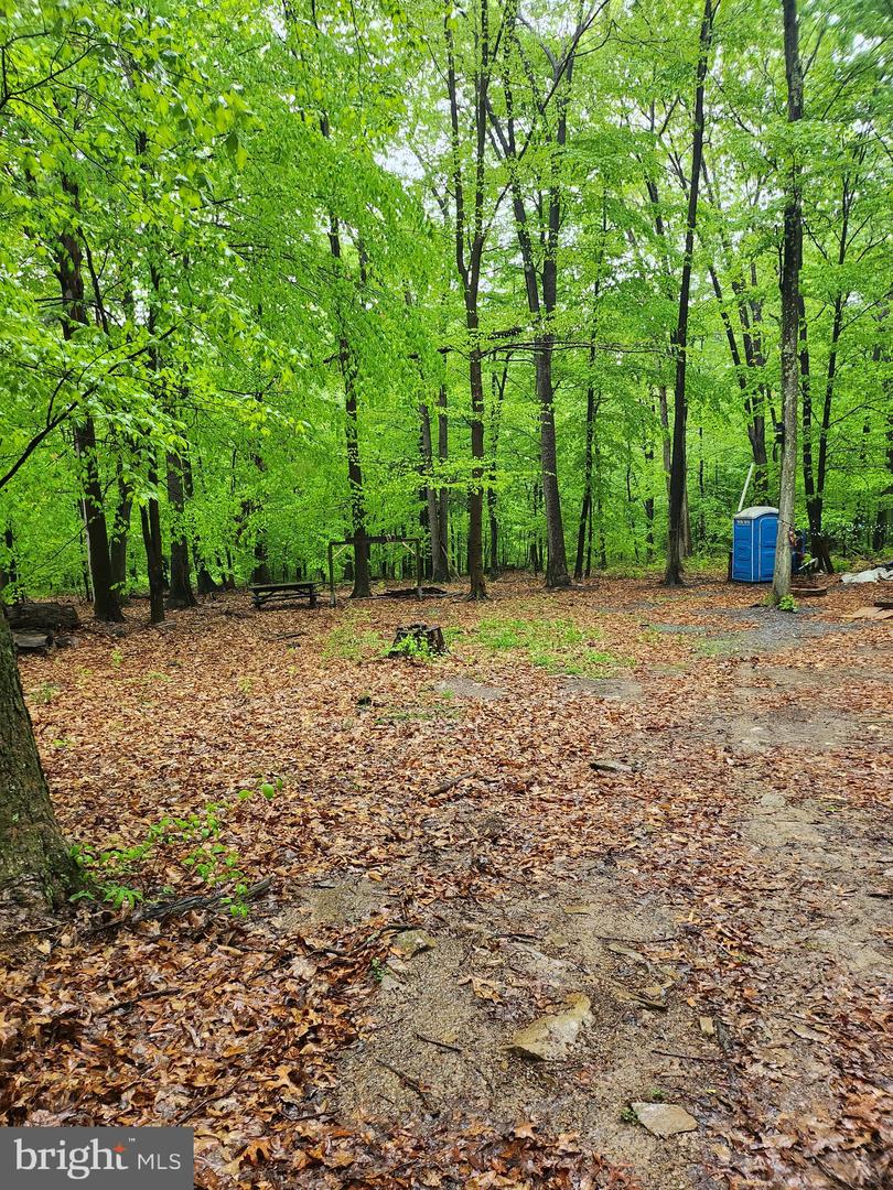 Mosquito Hollow Rd Property Photo 16