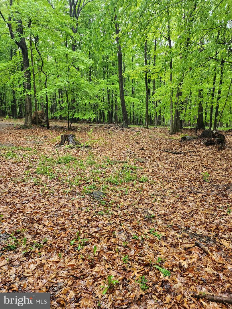 Mosquito Hollow Rd Property Photo 17