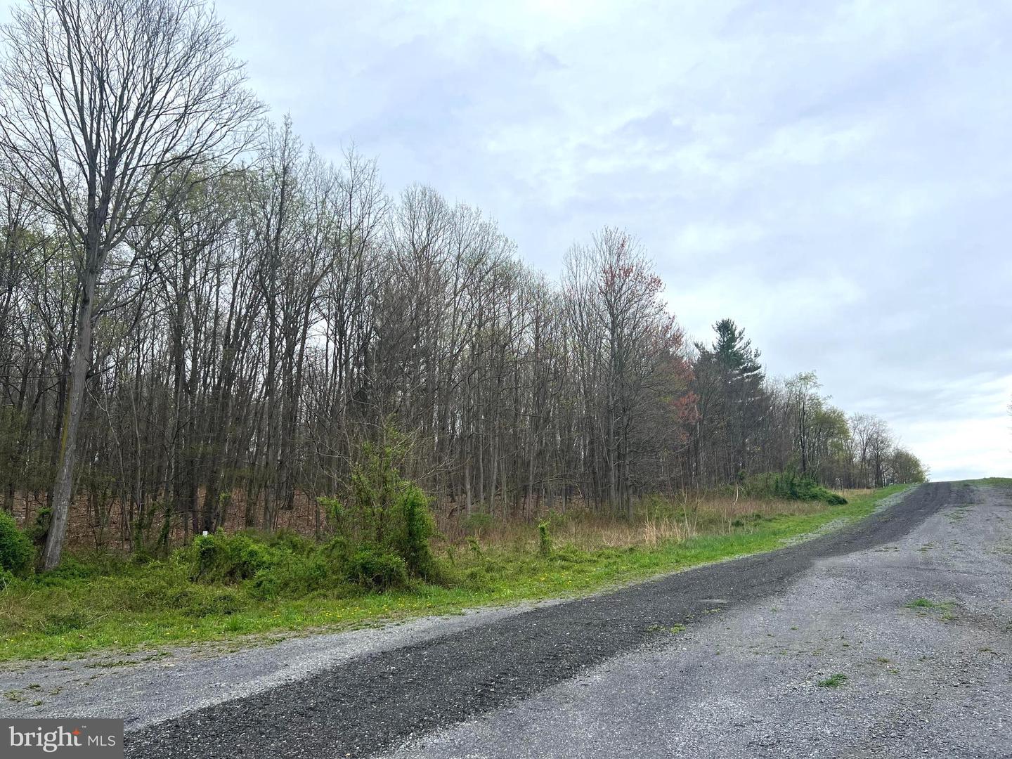Lot #17 Ridge Way Drive Property Photo 3