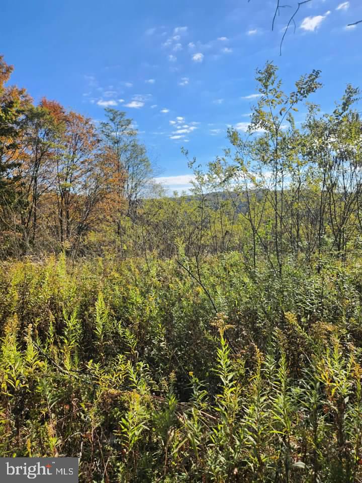 LOTS C1-C4 NATURES SYMPHONY ROAD