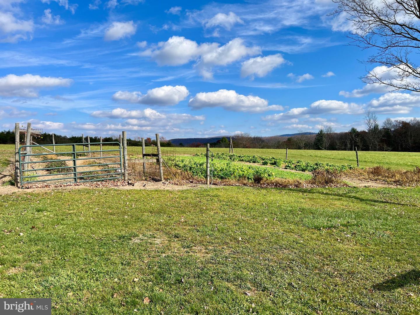 1482 Clingerman Road Property Photo 48