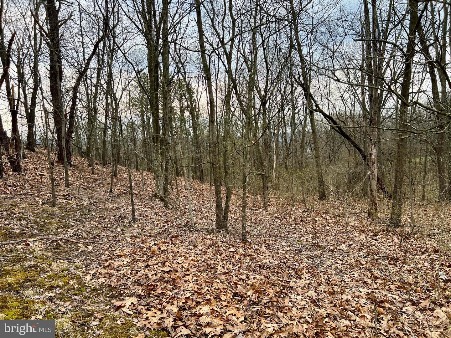 00 Cemetery Road Property Photo 14