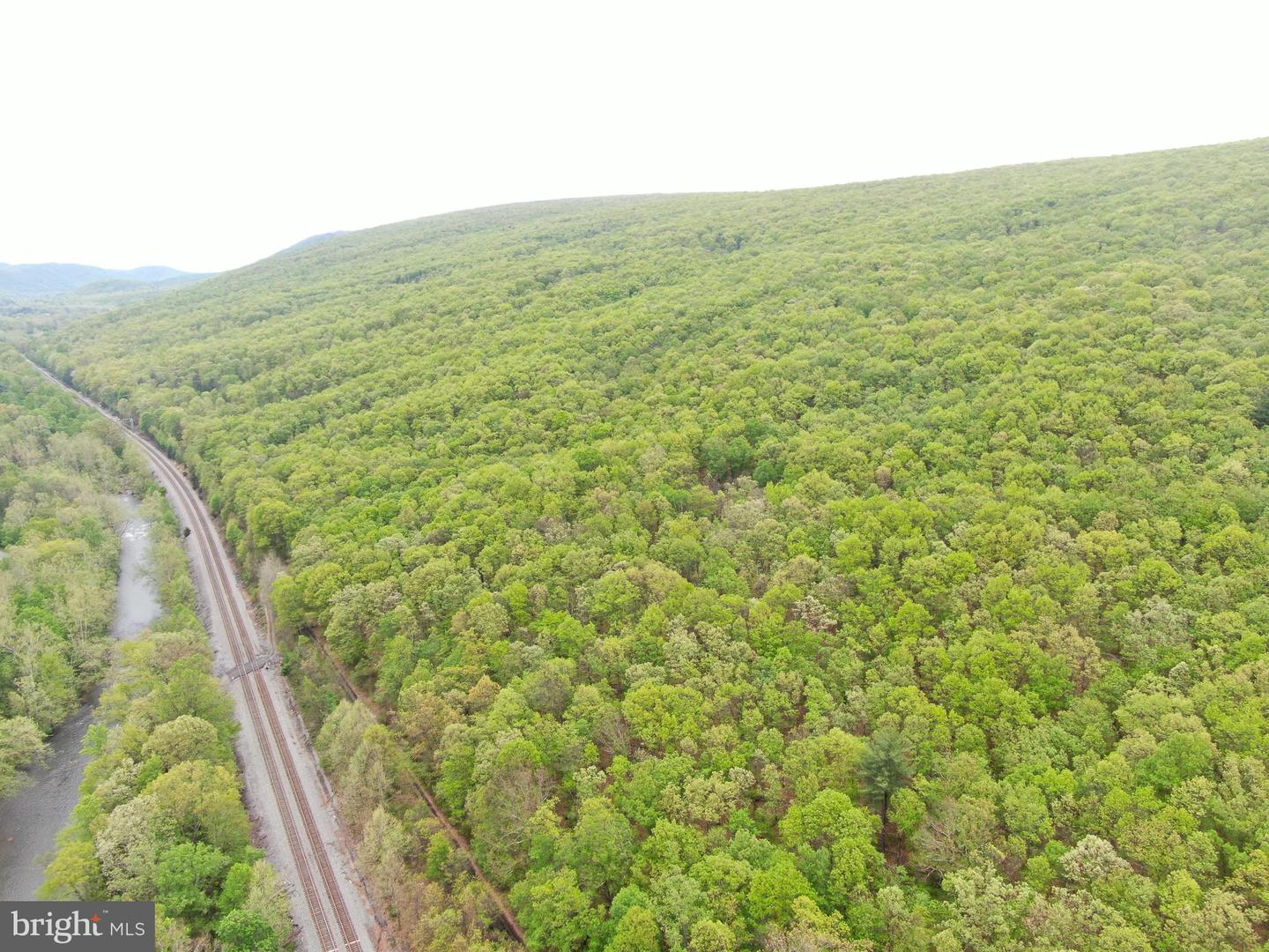 Tract 1: 191+- Acres Cooks Mill Rd Property Photo 2