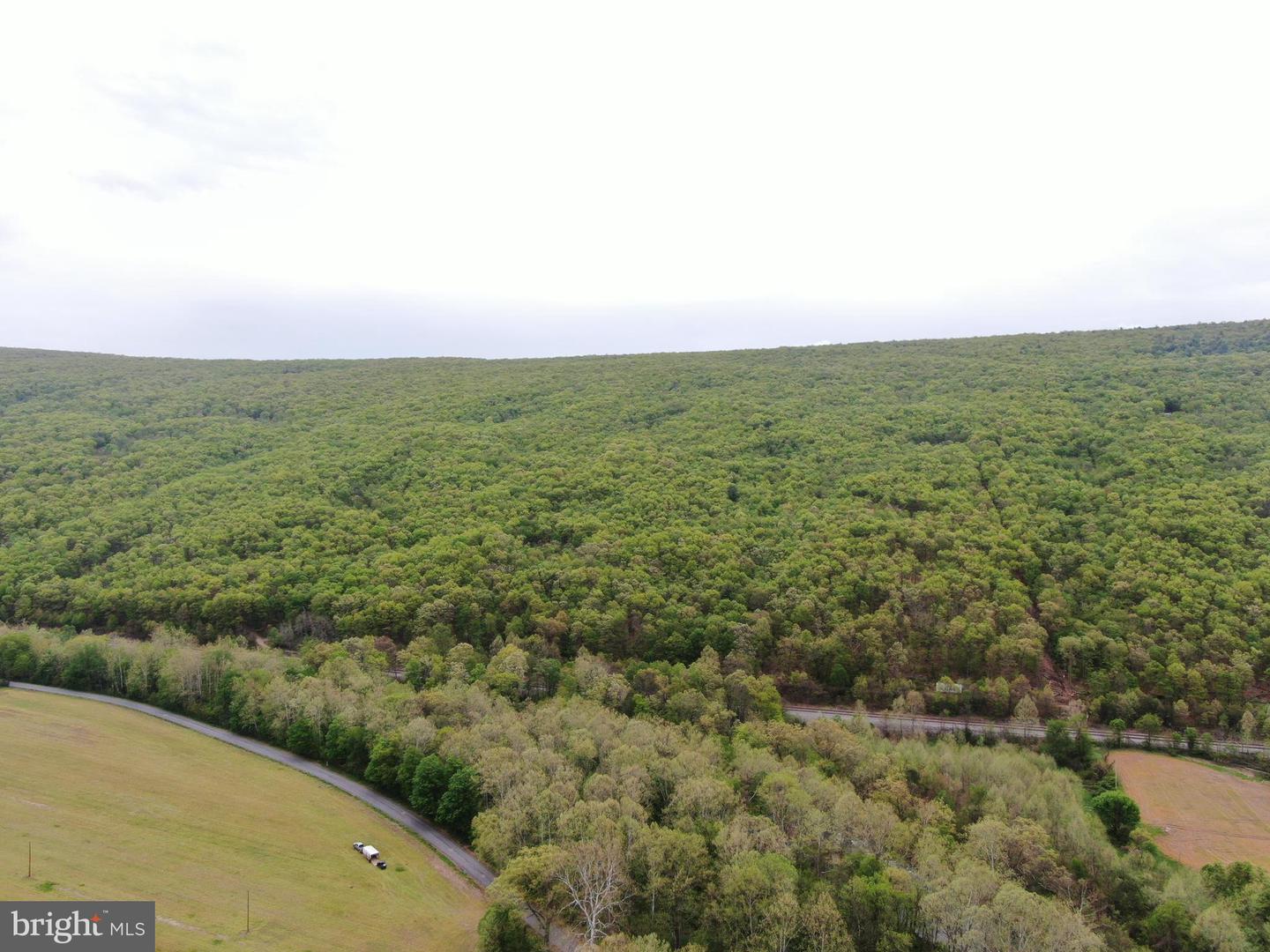 Tract 1: 191+- Acres Cooks Mill Rd Property Photo 3