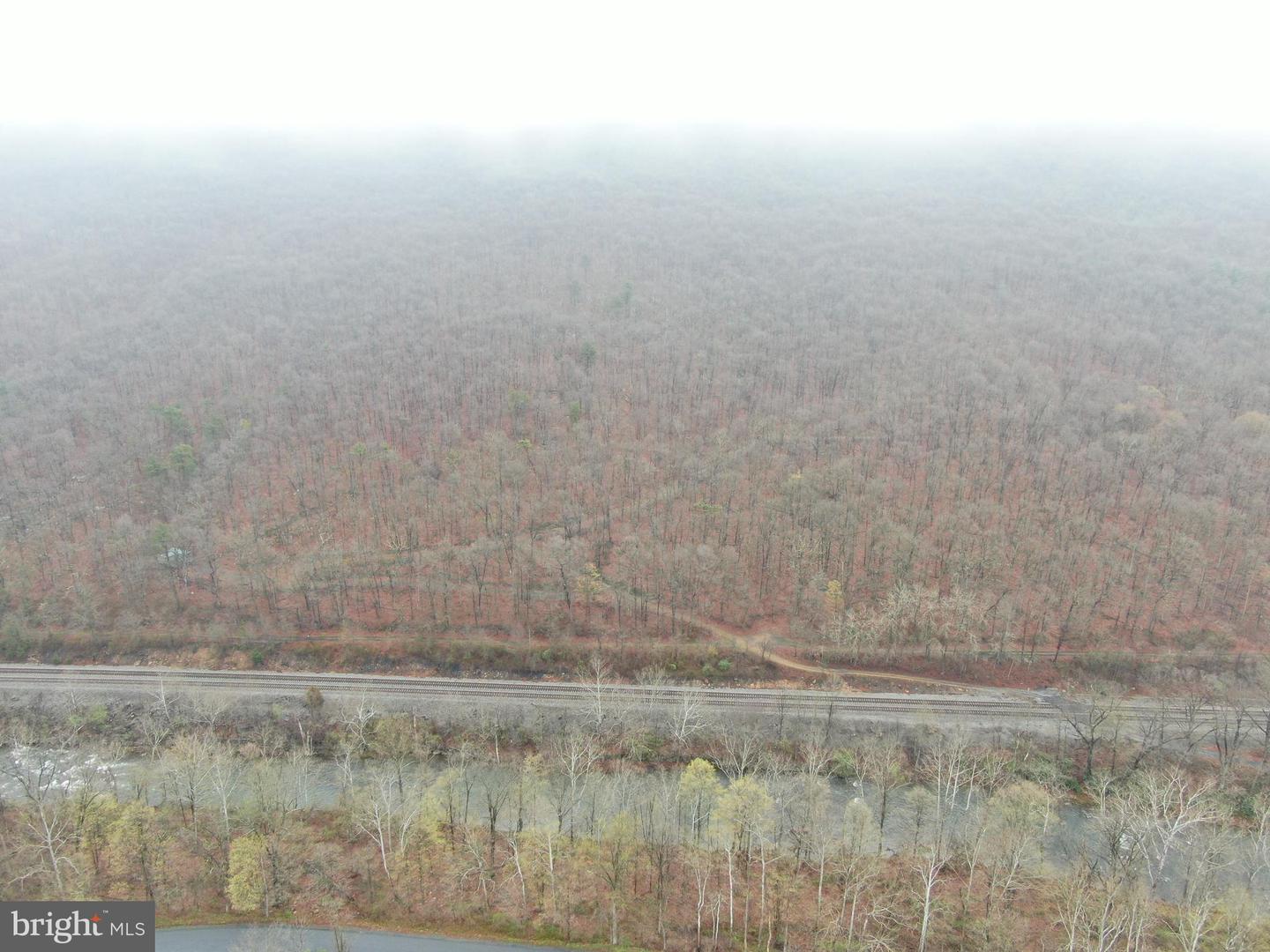 Tract 1: 191+- Acres Cooks Mill Rd Property Photo 4