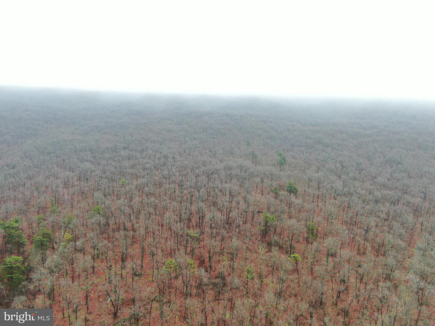 Tract 1: 191+- Acres Cooks Mill Rd Property Photo 7