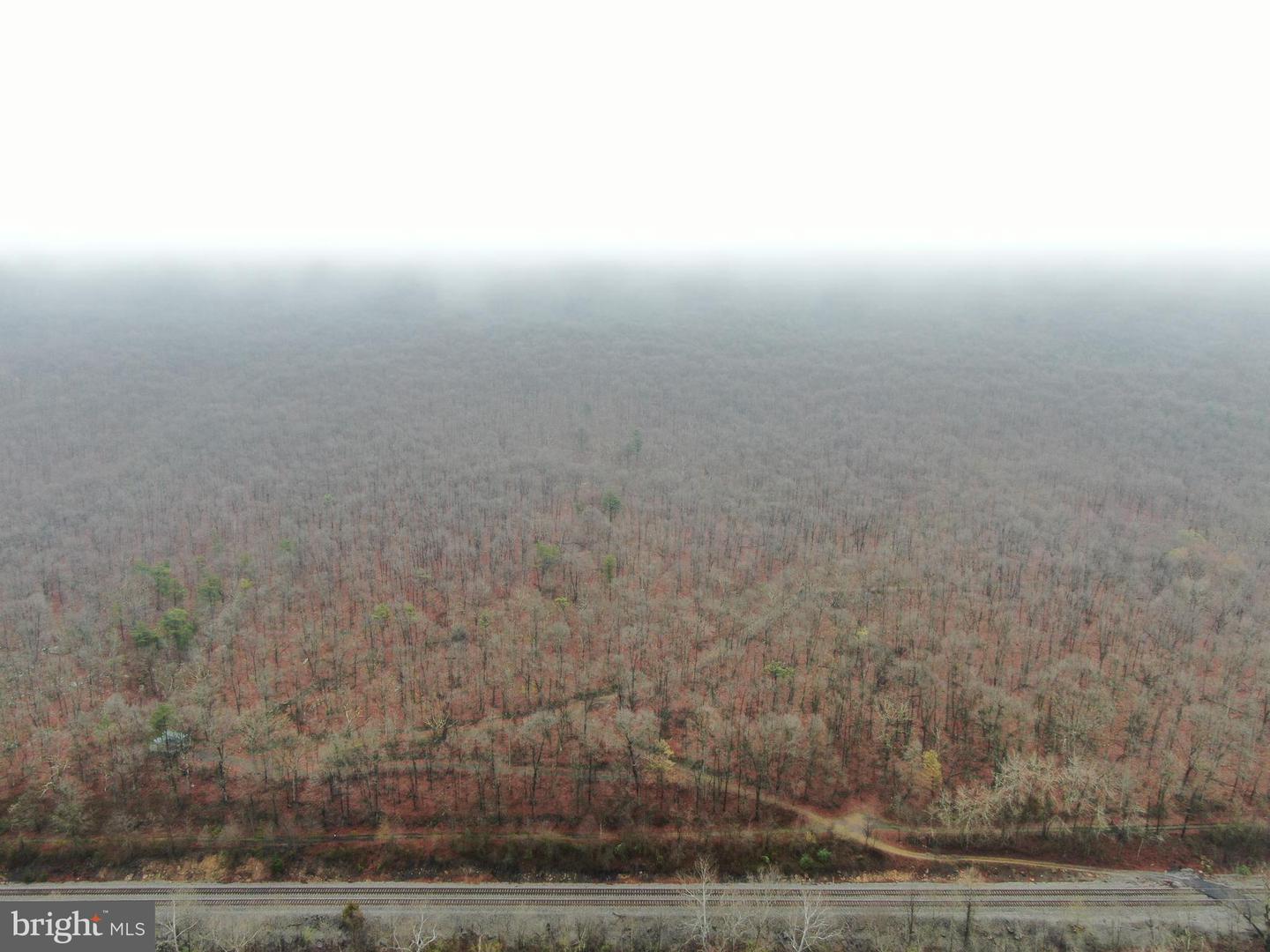 Tract 1: 191+- Acres Cooks Mill Rd Property Photo 9