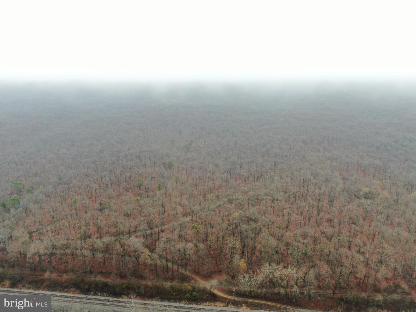 Tract 1: 191+- Acres Cooks Mill Rd Property Photo 10