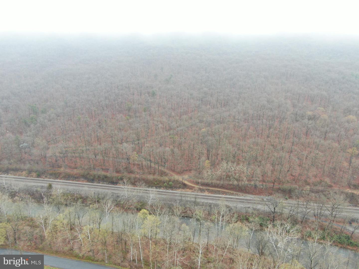 Tract 1: 191+- Acres Cooks Mill Rd Property Photo 11