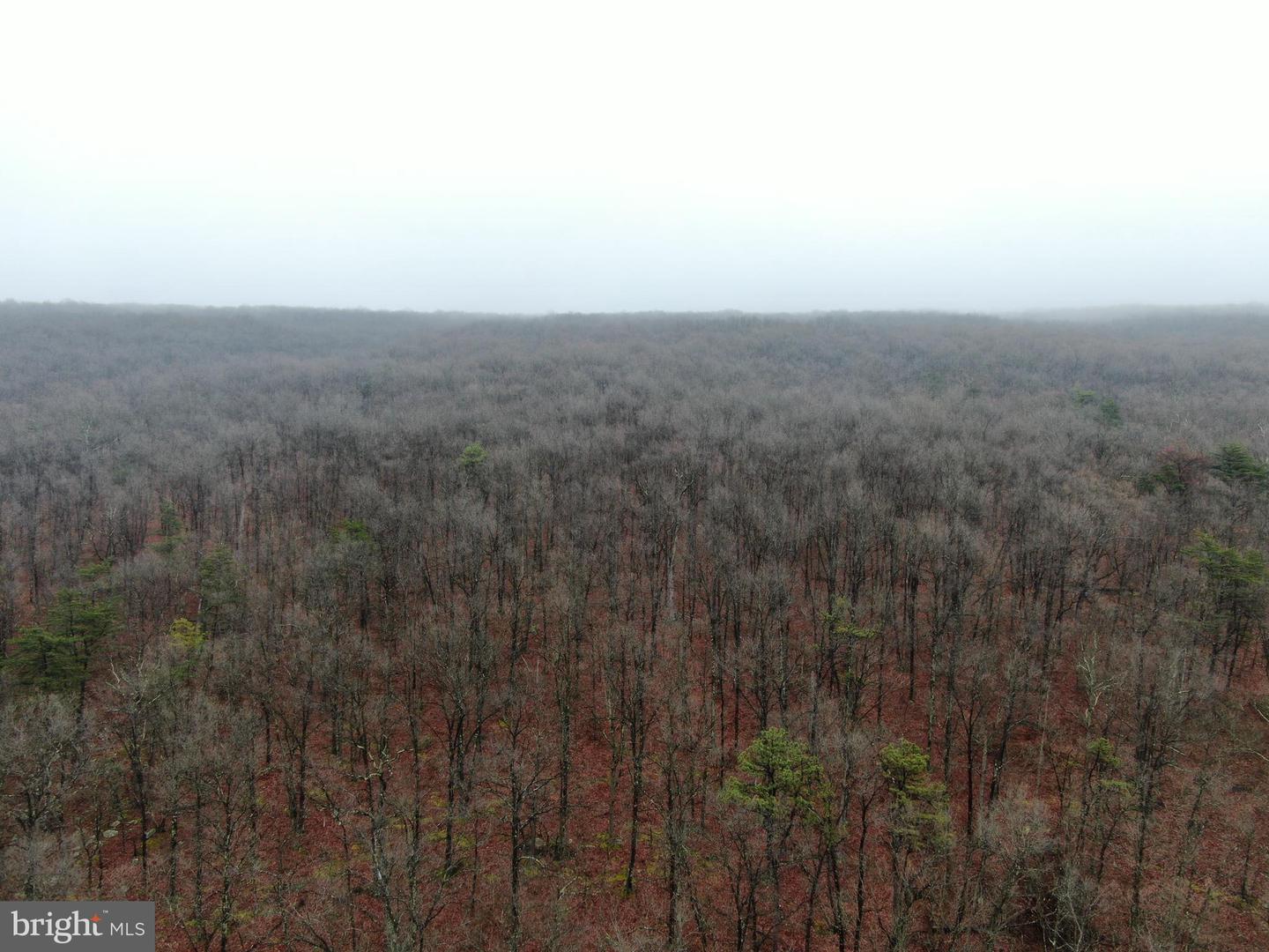 Tract 1: 191+- Acres Cooks Mill Rd Property Photo 14