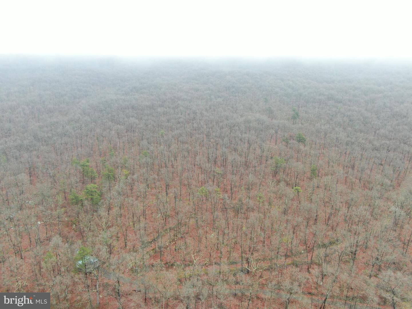 Tract 1: 191+- Acres Cooks Mill Rd Property Photo 16