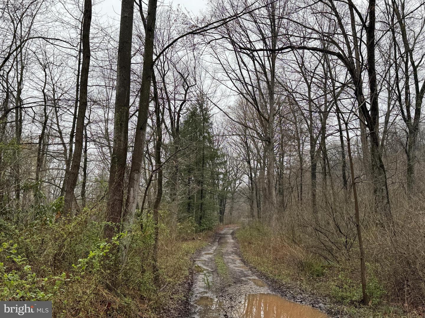 Tract 1: 191+- Acres Cooks Mill Rd Property Photo 19