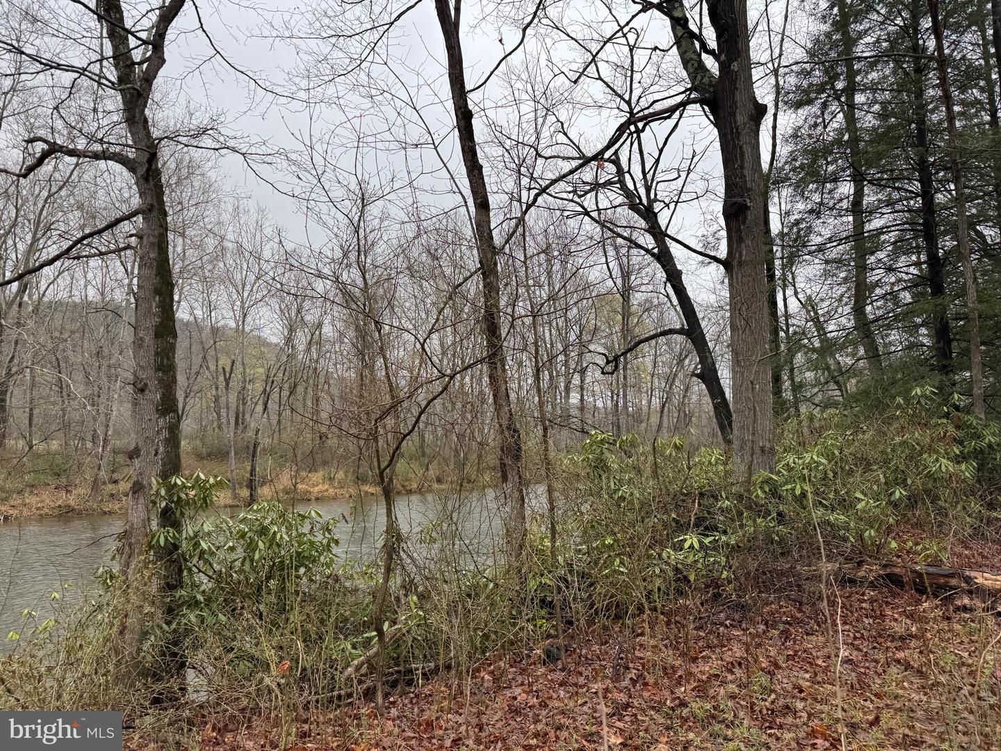 Tract 1: 191+- Acres Cooks Mill Rd Property Photo 21