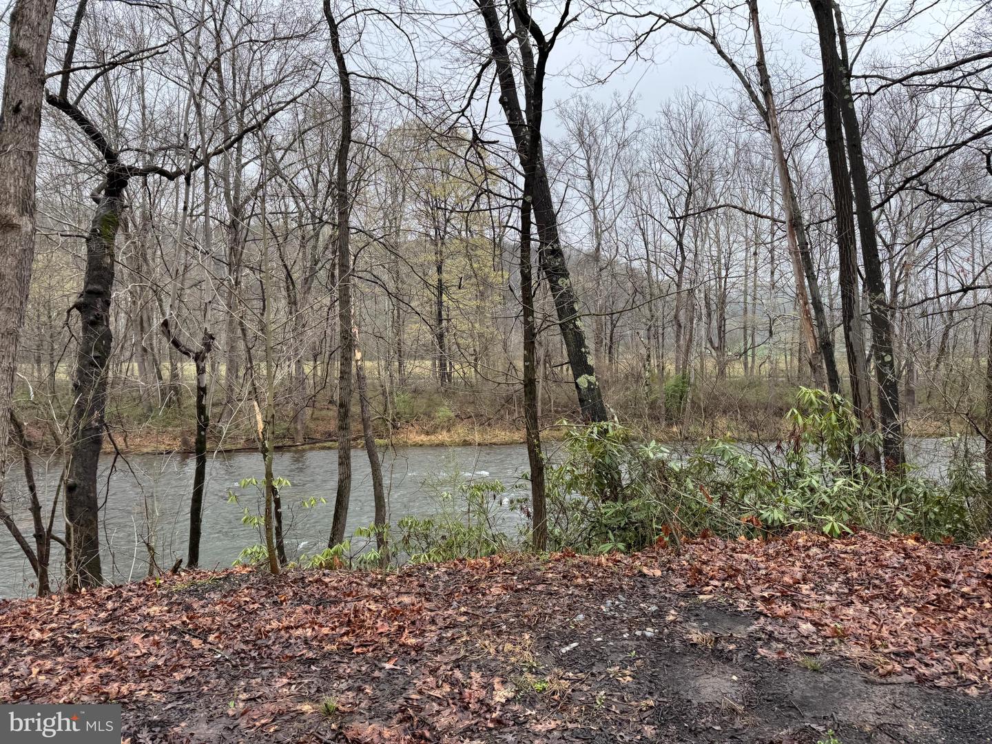 Tract 1: 191+- Acres Cooks Mill Rd Property Photo 22