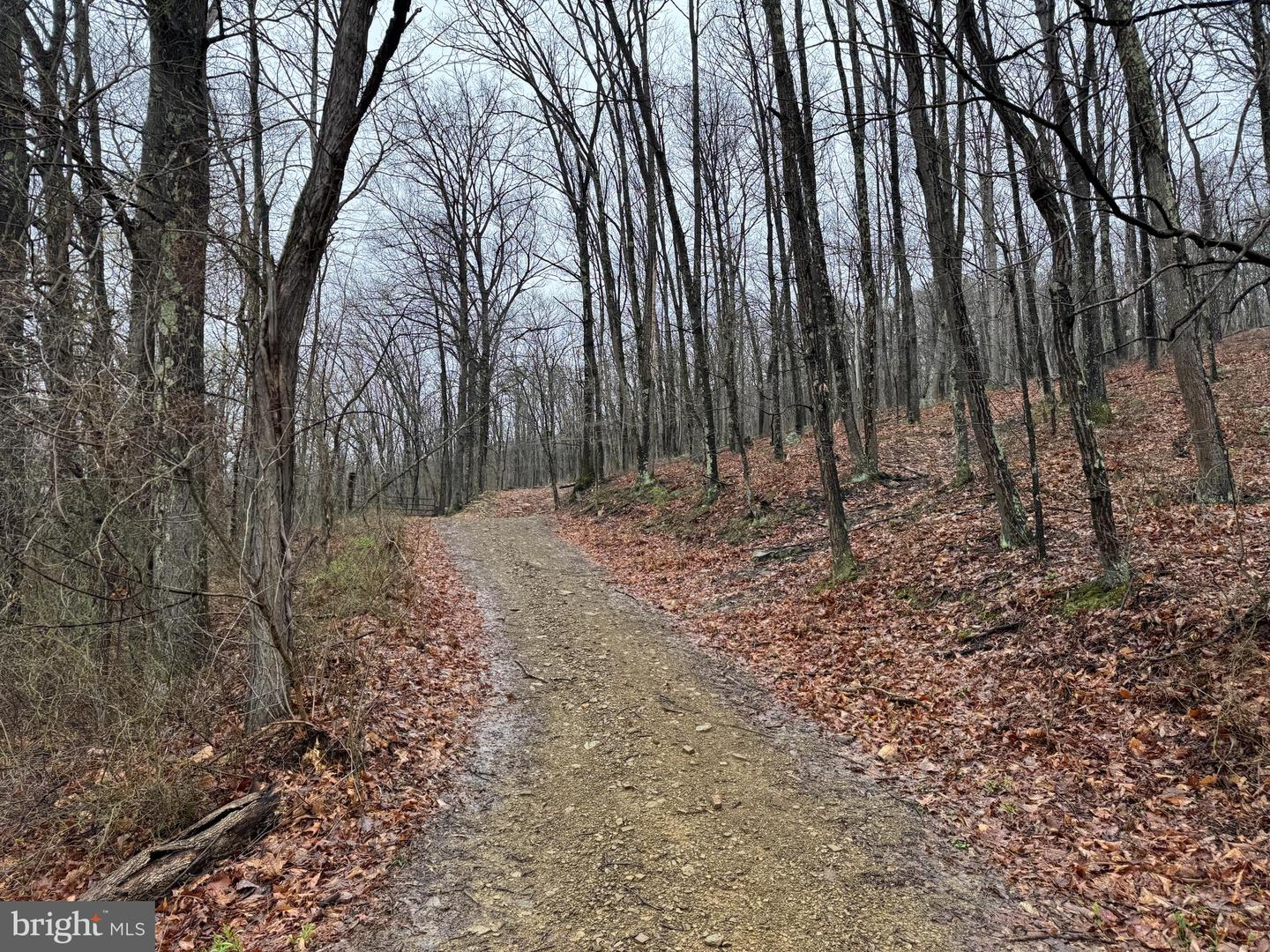Tract 1: 191+- Acres Cooks Mill Rd Property Photo 23