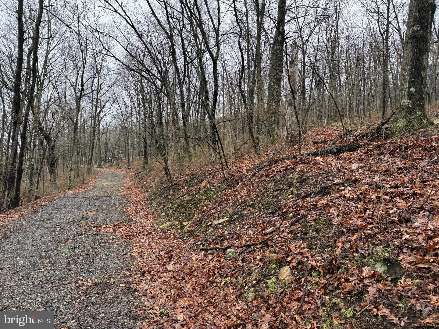Tract 1: 191+- Acres Cooks Mill Rd Property Photo 28
