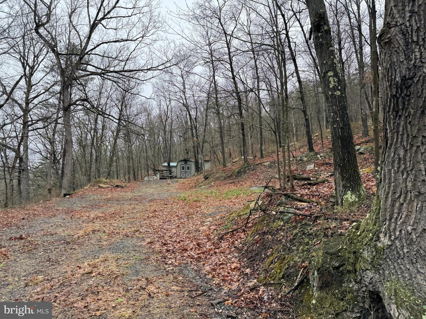 Tract 1: 191+- Acres Cooks Mill Rd Property Photo 30