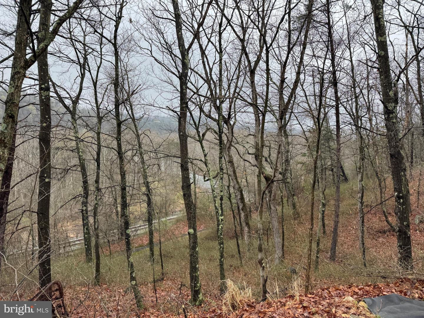 Tract 1: 191+- Acres Cooks Mill Rd Property Photo 34