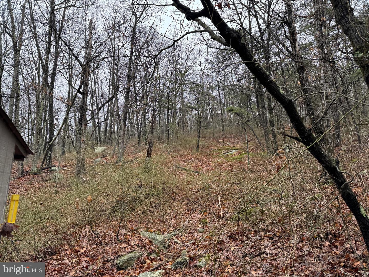 Tract 1: 191+- Acres Cooks Mill Rd Property Photo 36