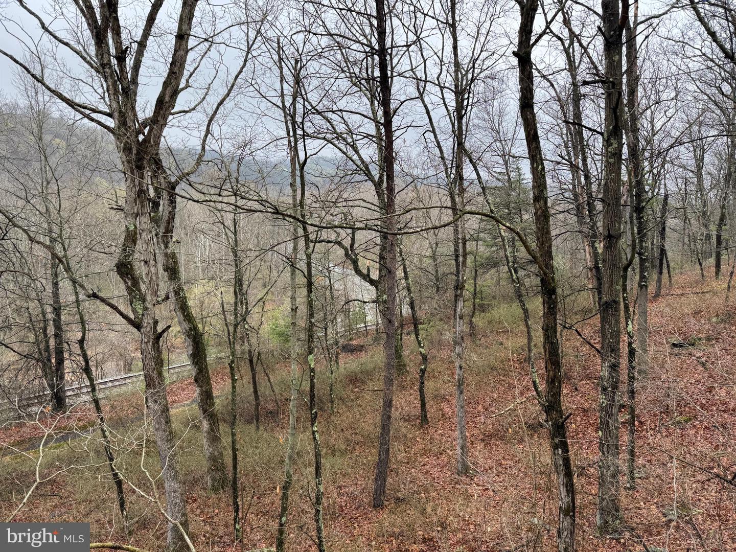 Tract 1: 191+- Acres Cooks Mill Rd Property Photo 40