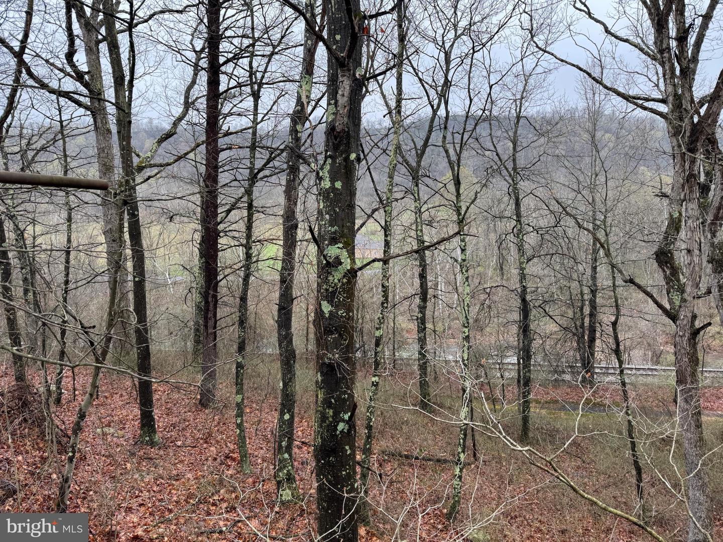 Tract 1: 191+- Acres Cooks Mill Rd Property Photo 41