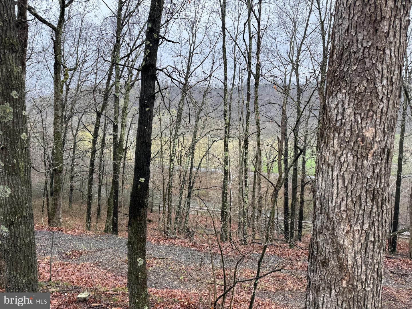 Tract 1: 191+- Acres Cooks Mill Rd Property Photo 43