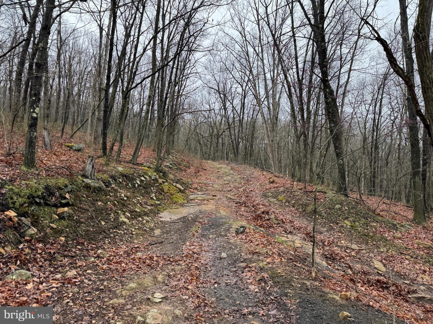 Tract 1: 191+- Acres Cooks Mill Rd Property Photo 45