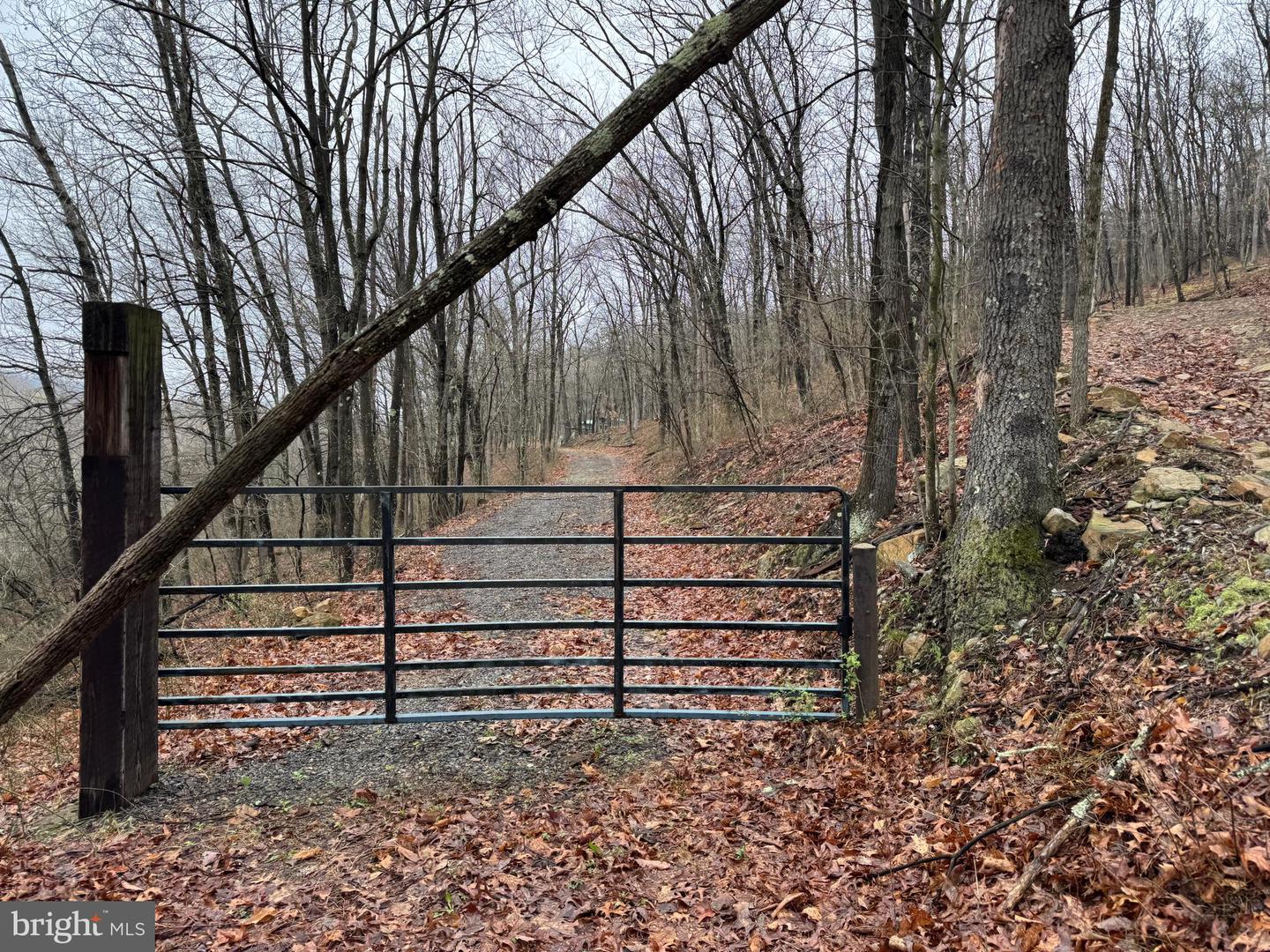 Tract 1: 191+- Acres Cooks Mill Rd Property Photo 76
