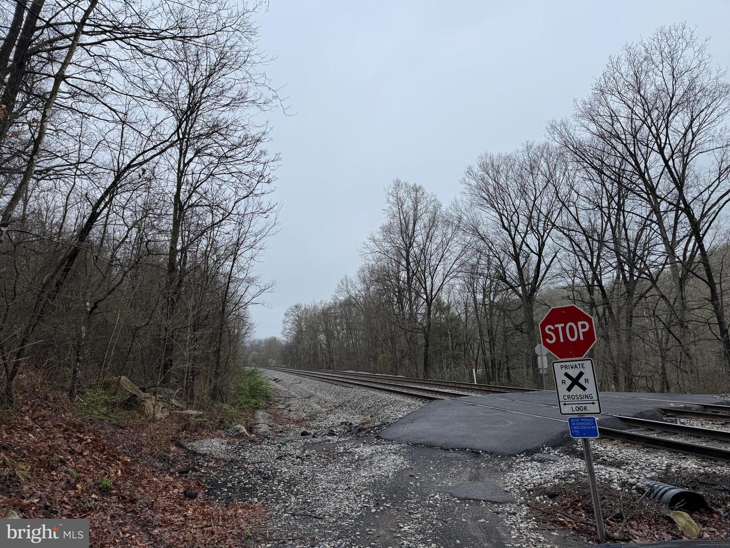 Tract 1: 191+- Acres Cooks Mill Rd Property Photo 77